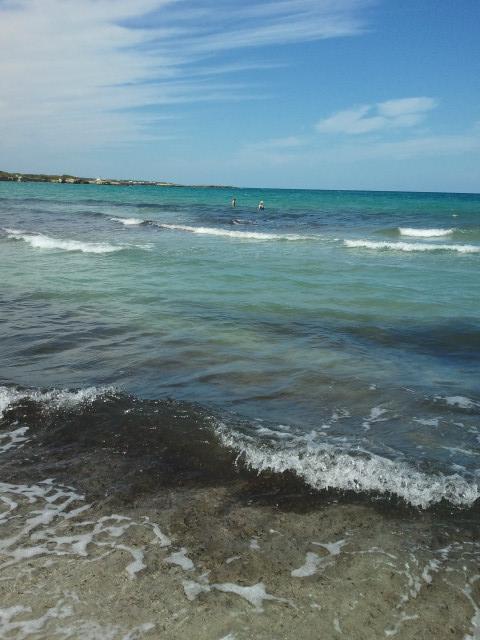 2012-09-18 13.04.40.jpg